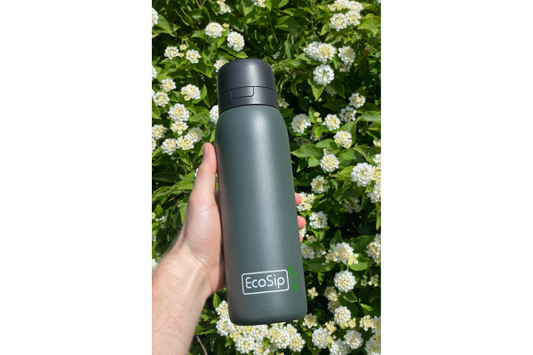 What We Filter and Why: The EcoSip Difference