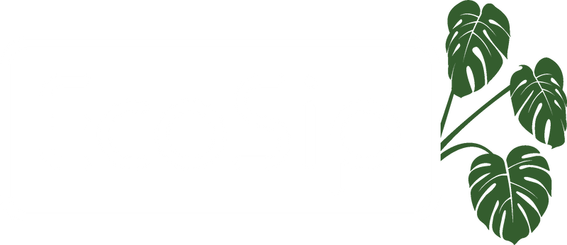 EcoSip
